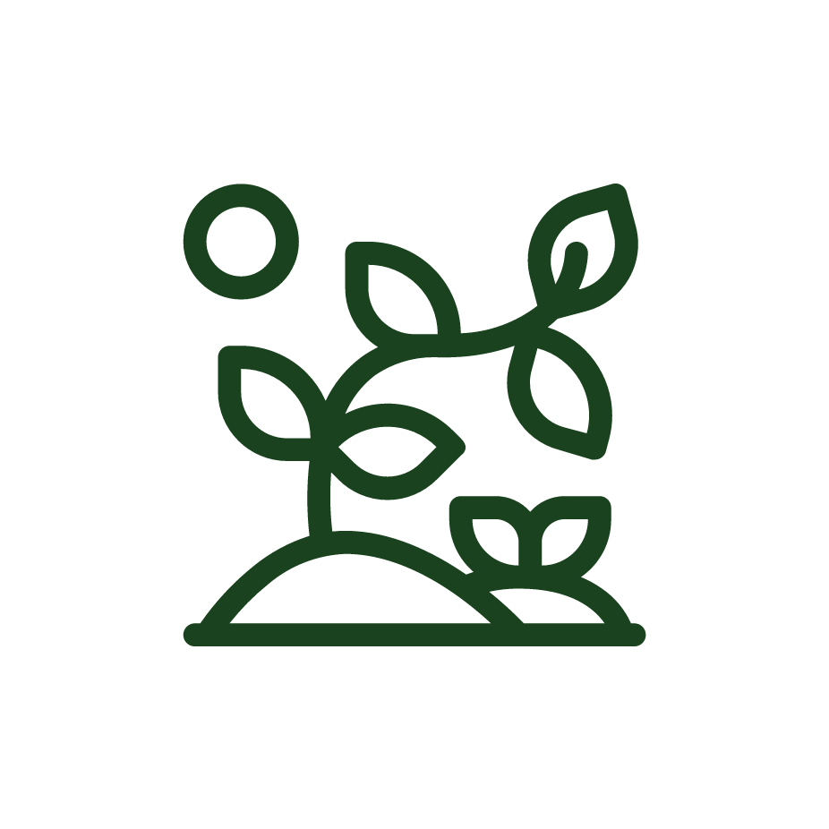 sustainability-icon-green